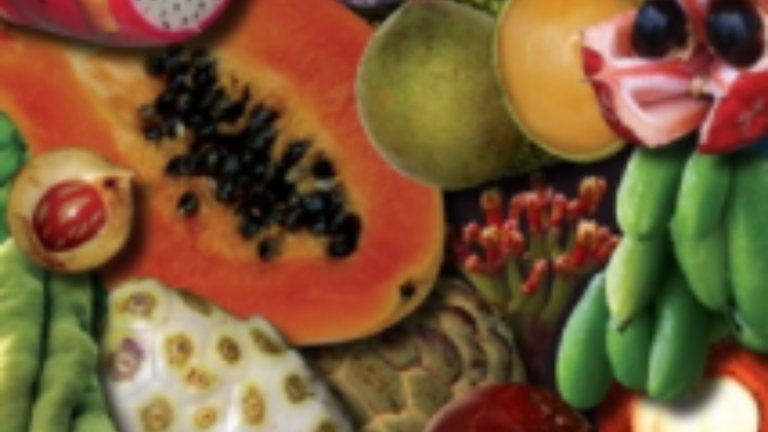 let Food Be Thy Medicine