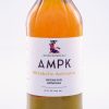 AMPK The Master Metabolic Switch